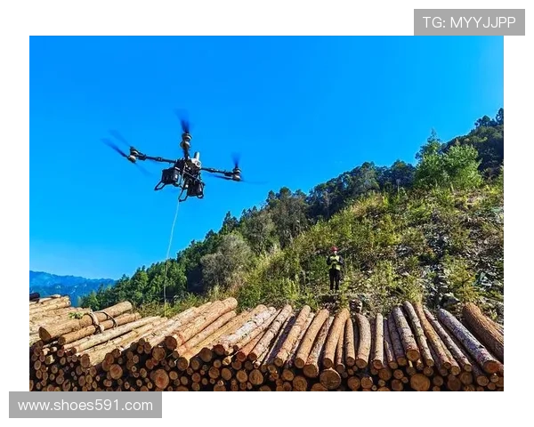 梅赫伦中路渗透分析：新战略助力区域经济发展与交通便捷化